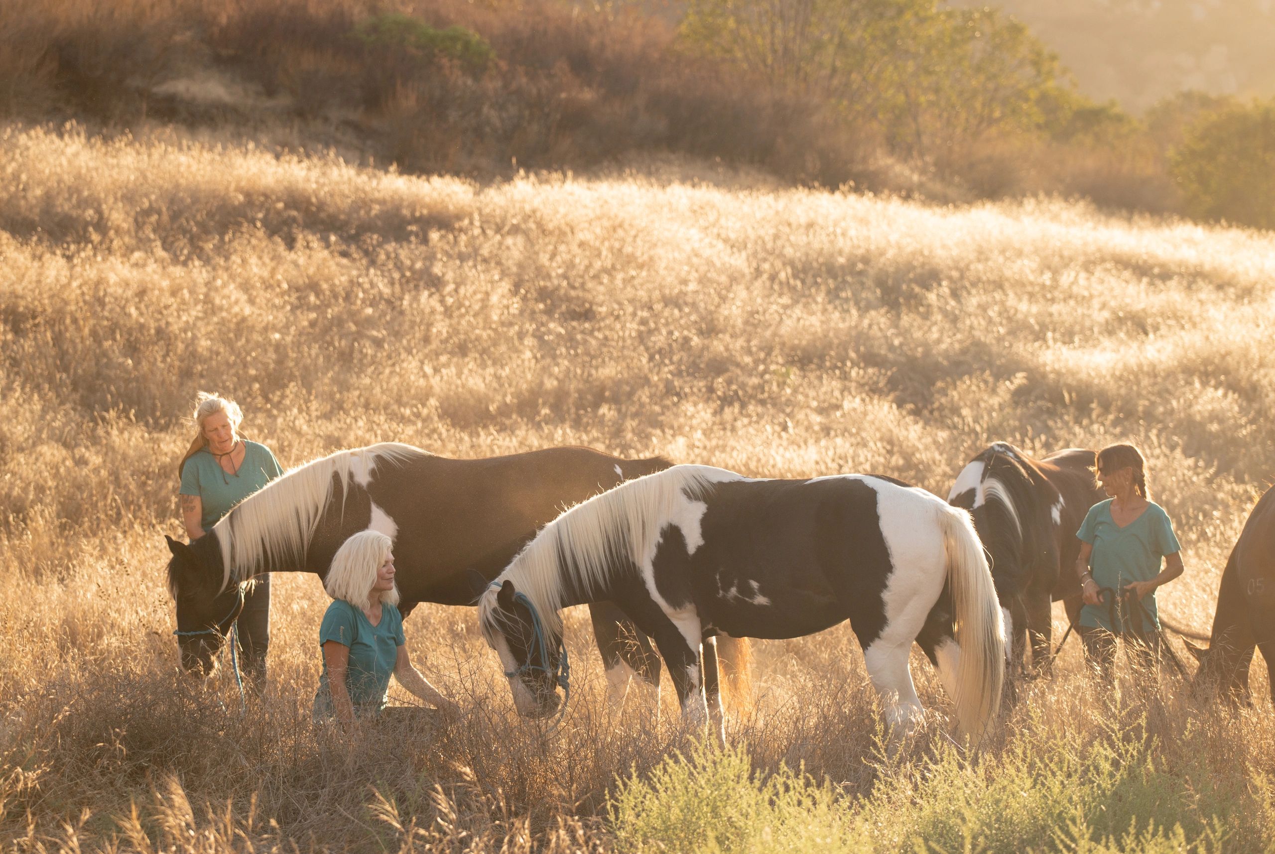 Park Horse Project: equine therapy for people with Parkinson's Disease & Autism Spectrum Disorder