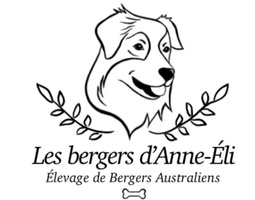 Les bergers d'Anne-Éli