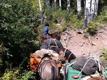 Tom leading a pack string into the Weminuche Wilderness