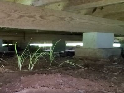 Crawl Space Inspections