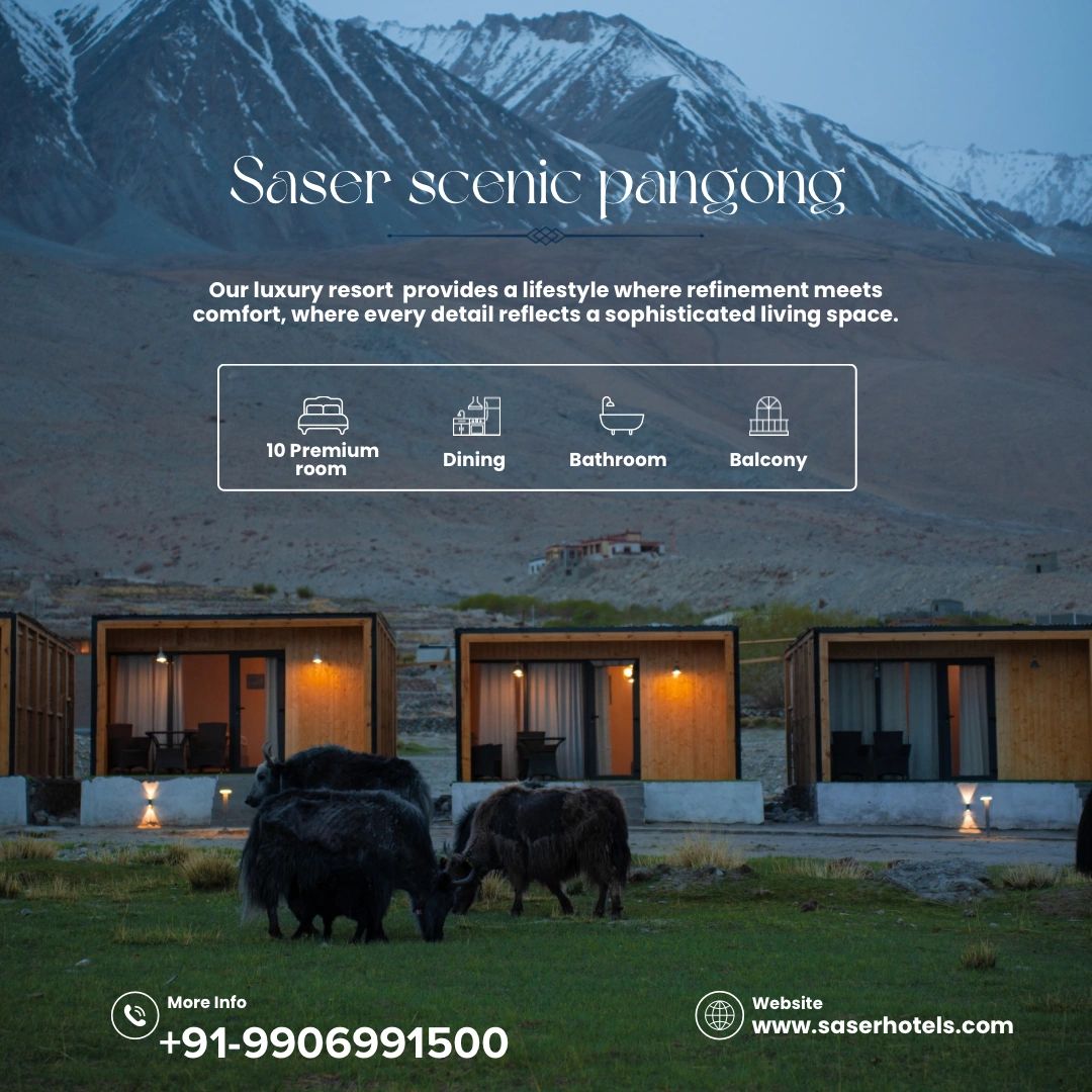 Hotels in pangong lake