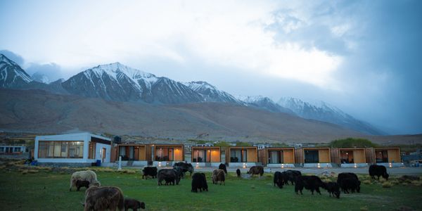 best hotel& camp in pangong lake 