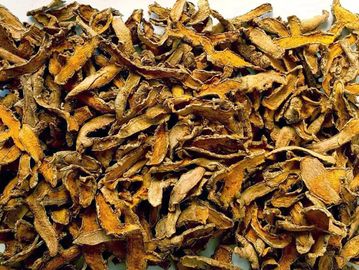 干黄姜香料供应商 dried tumeric
