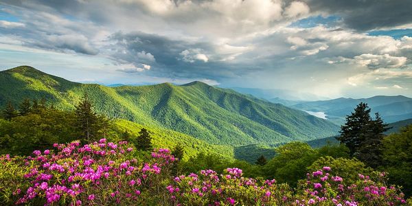 Real estate investing in Western North Carolina and Asheville