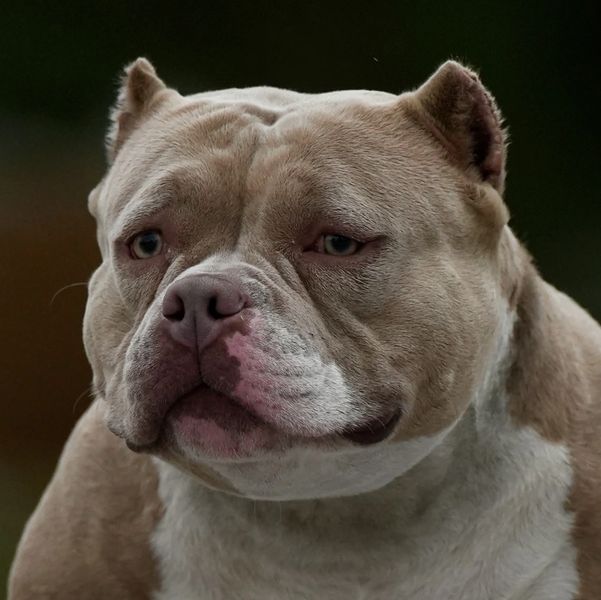 Female produced by Mad Scientist Bullies 