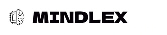 MINDLEX.AI