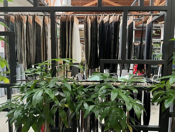 Denim fabric hangs from a rack. Underneath is plant foliage sprouting from soil.