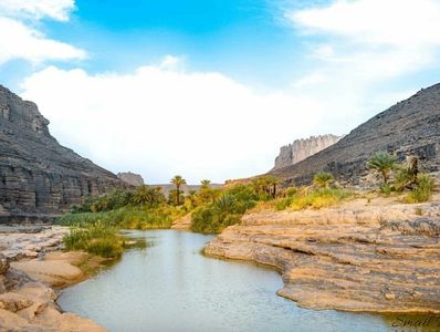 Oasis de Ihrir à Djanet, parc de Tassili N'ajjer, Sahara Algérie