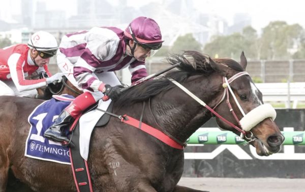 Jockey riding a racehorse in a competitive horse race.