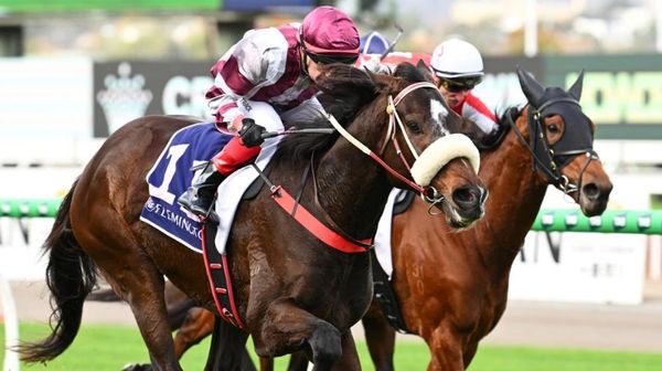 Two horses racing in a horse race.