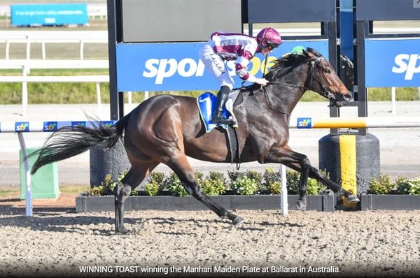Horse winning a race at Ballarat in Australia.
