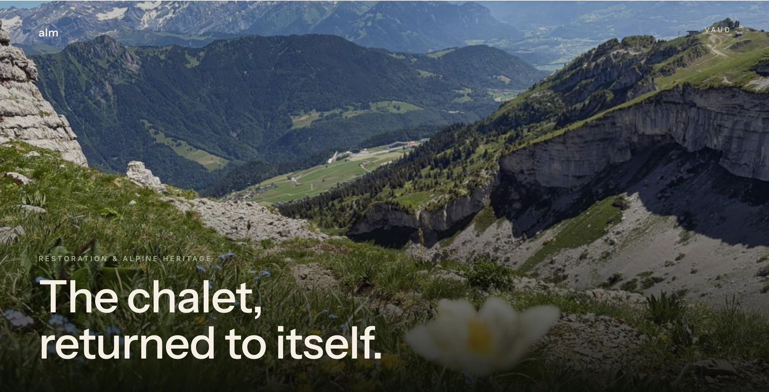 Paisaje alpino con montañas y flores.