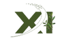 X I