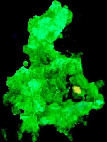 Hyalite Opal on Matrix under shortwave UV light from Hungary