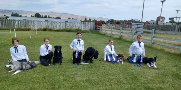 Five handlers with their dogs and ribbons at a dog show outdoors.
