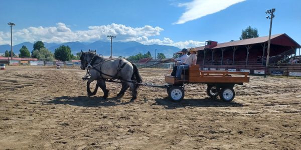 Two horses pulling a wooden wagon with two people in an outdoor arena.