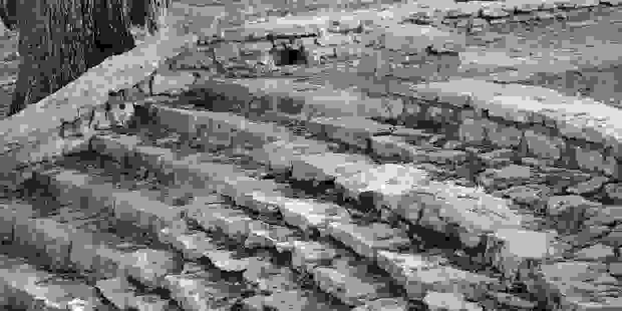image1506