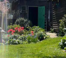 Rustic garden entrance with blooming red flowers and a green door.