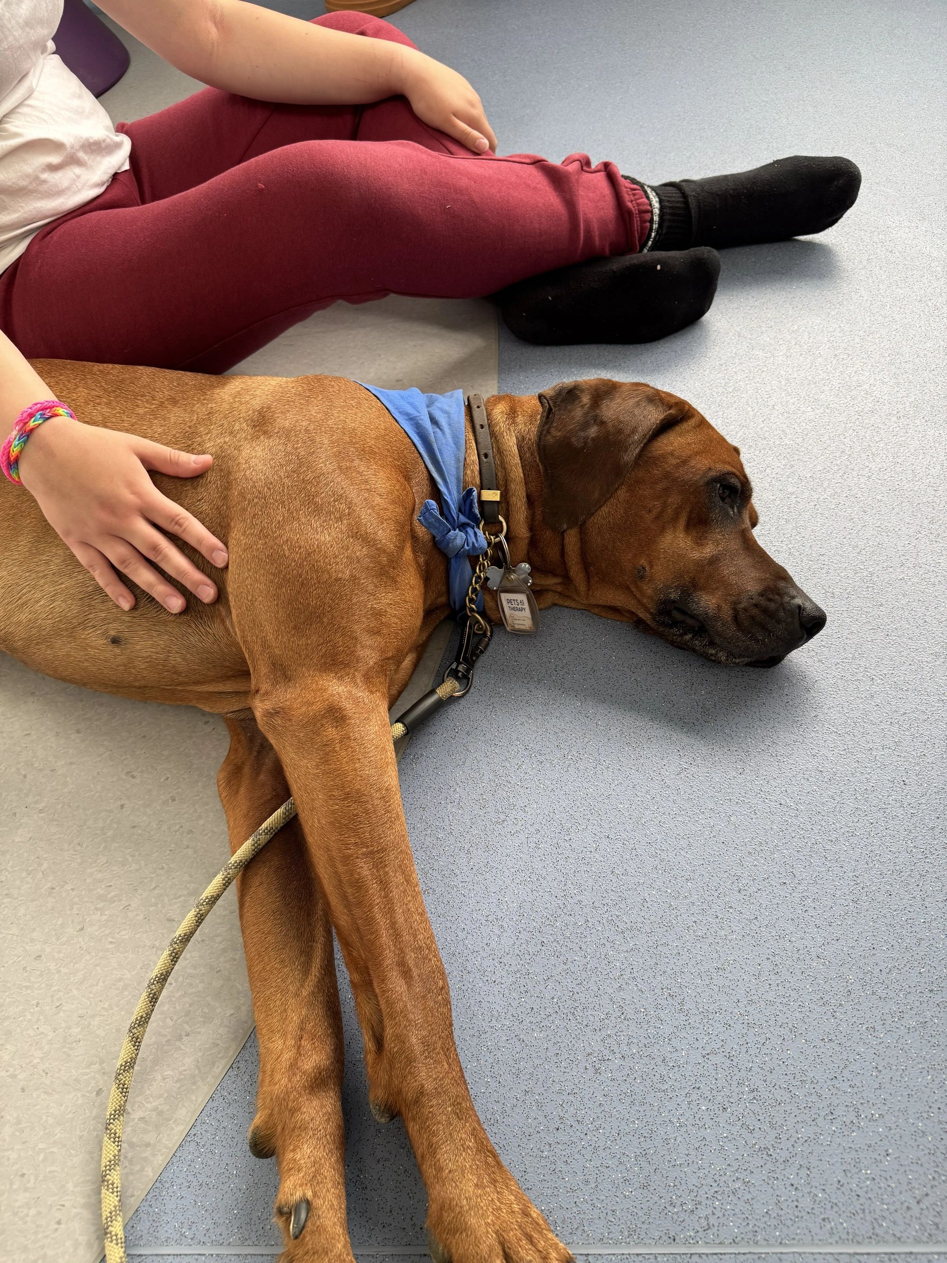 Roo co-regulating with a patient