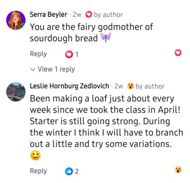 Comments about sourdough bread enthusiasm and baking.