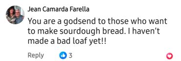 Positive comment about sourdough bread aid.