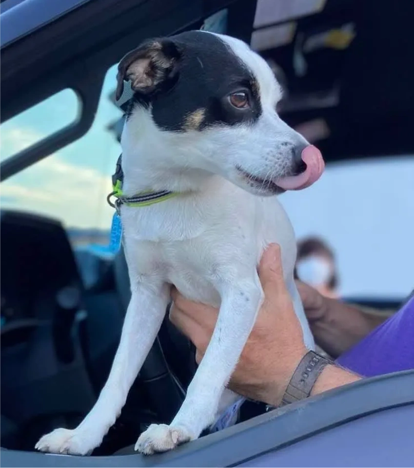 Gallery Pet Food Pantry of Eastern NC