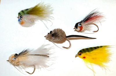 ASSORTED BASS FLIES FOR FLY FISHING FOR BASS