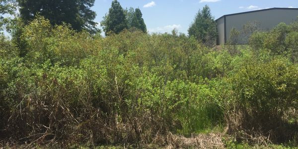 Orlando Retention Pond Service Retention Pond Cleaning Retention Pond Maintenance Pond cleaner