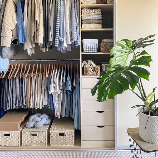 Neatly organized closet with clothes, wicker baskets, and a large green plant.
