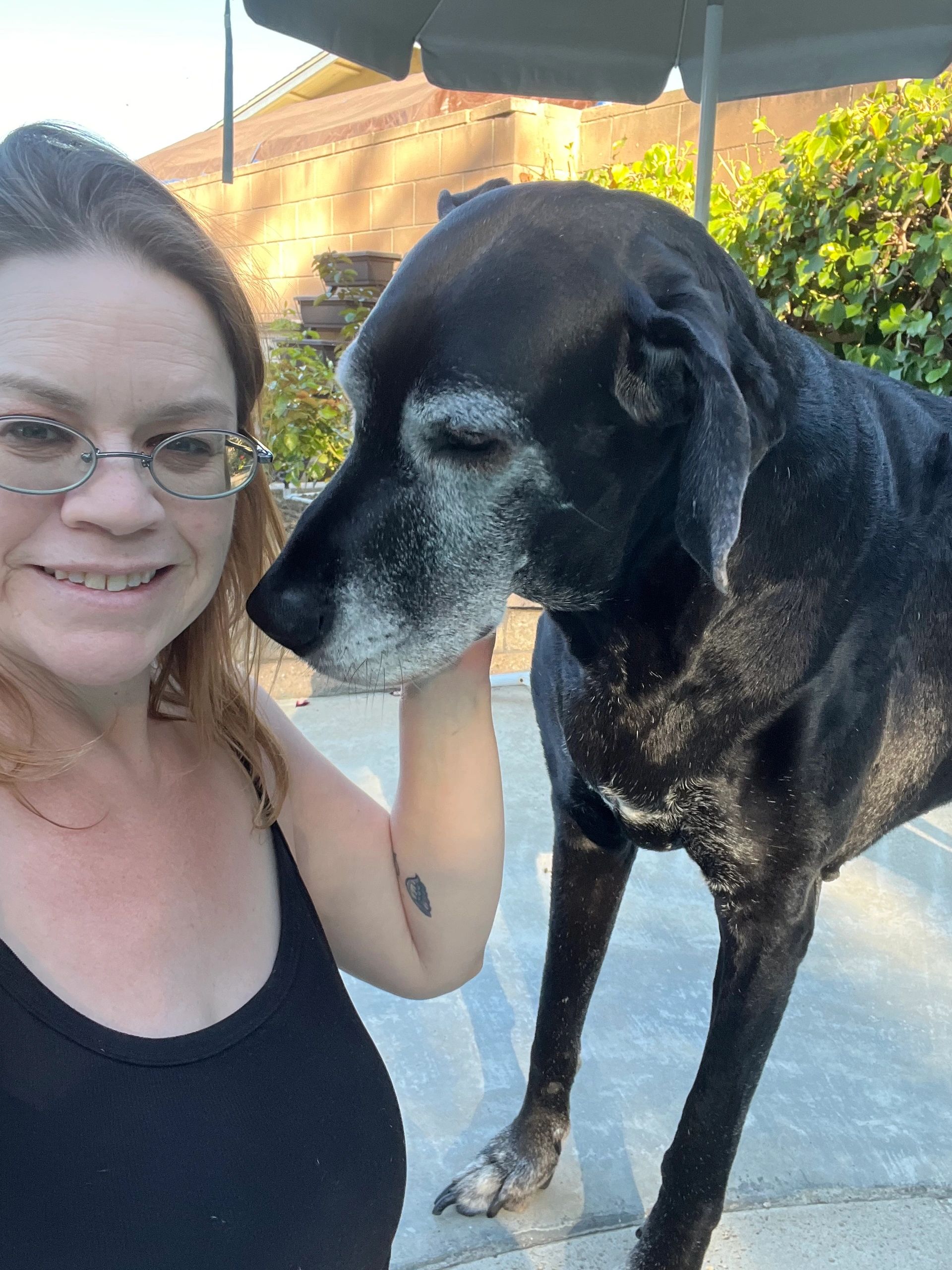 Samantha & her rescue Dane, Betty