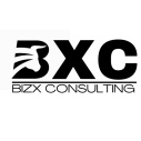 BizX Consulting
