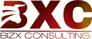 BizX Consulting