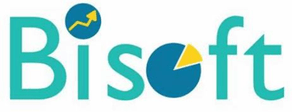 Bisoft Consulting Services