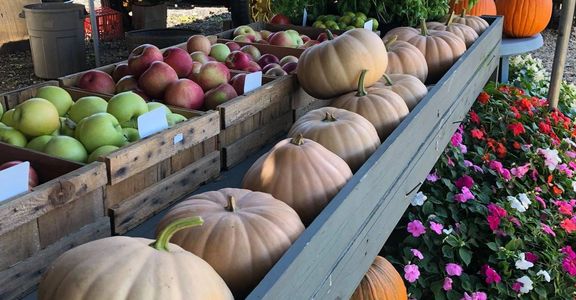 Fresh fruit and vegetables at the local farms.