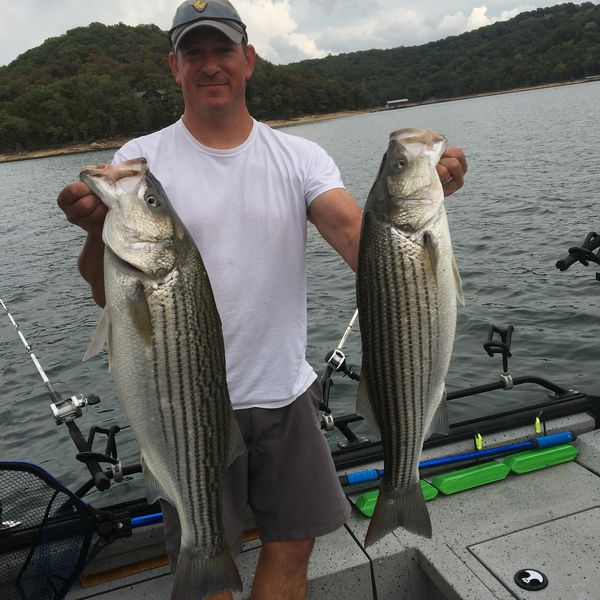 Ozark Fishing Addiction Striper Fishing Beaver Lake, Fishing Guide