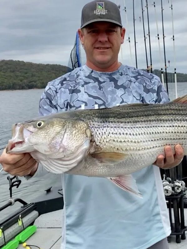 Ozark Fishing Addiction Striper Fishing Beaver Lake, Fishing Guide