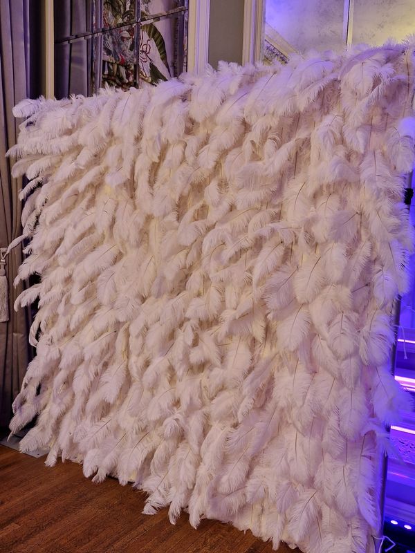 Backdrop made from white feathers
