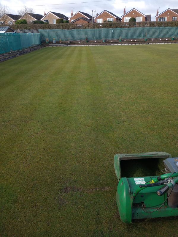 A freshly mowed grass lawn with a green lawn mower in the foreground.