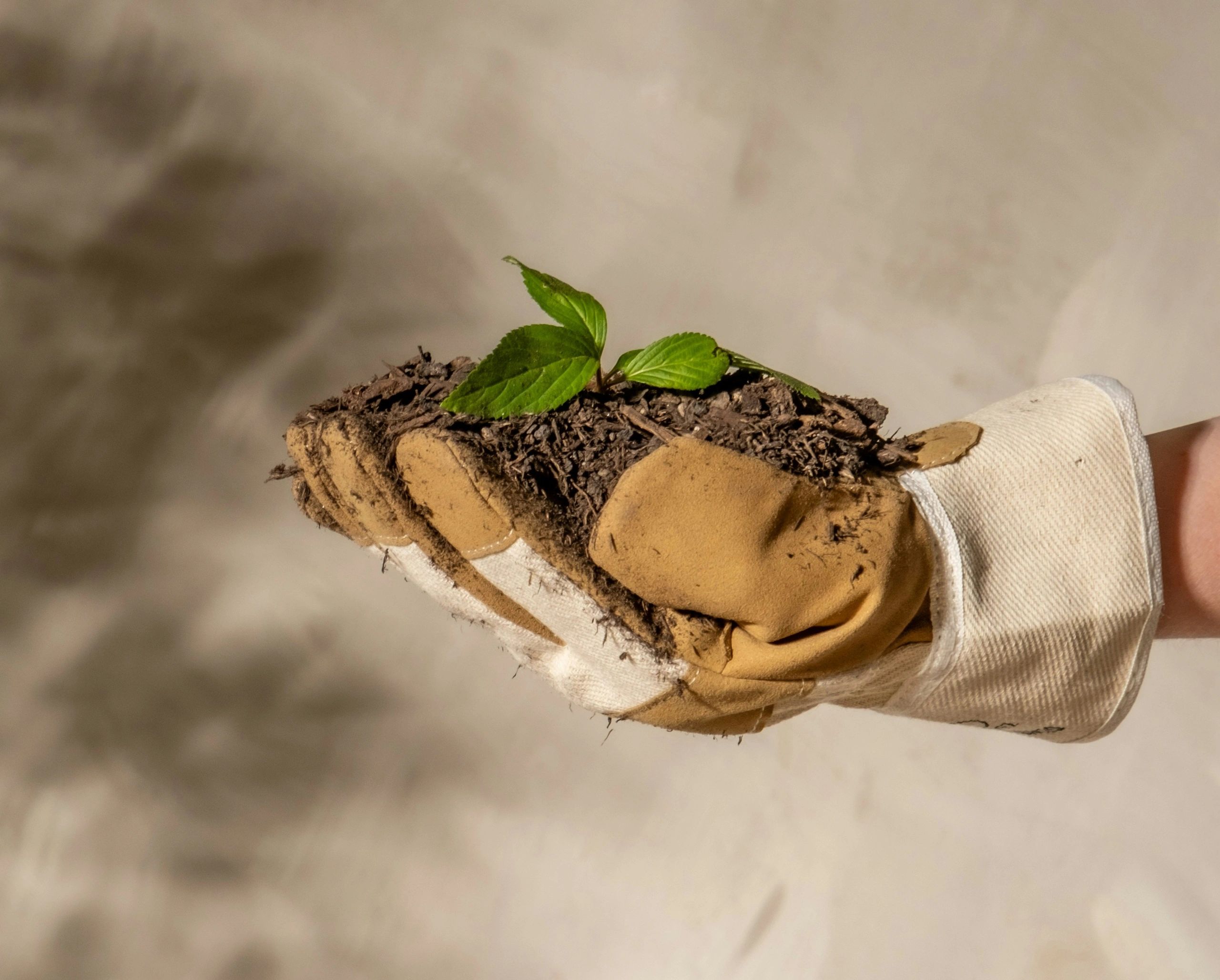 The Importance of Knowing Your Ecological Footprint