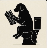 Buckeye Dog Waste Removal