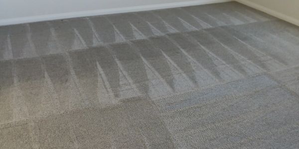 Freshly shampooed carpet showing clean vacuum lines after professional carpet cleaning in Las Vegas