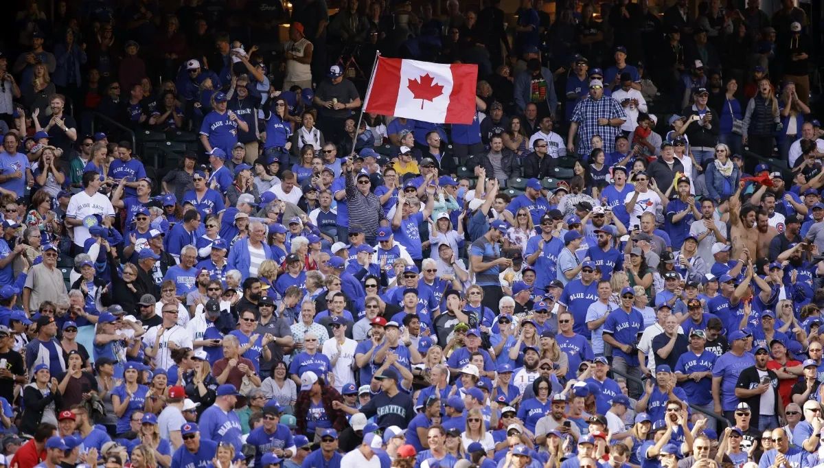 Blue jays in Seattle July 2024 2023 double occupancy