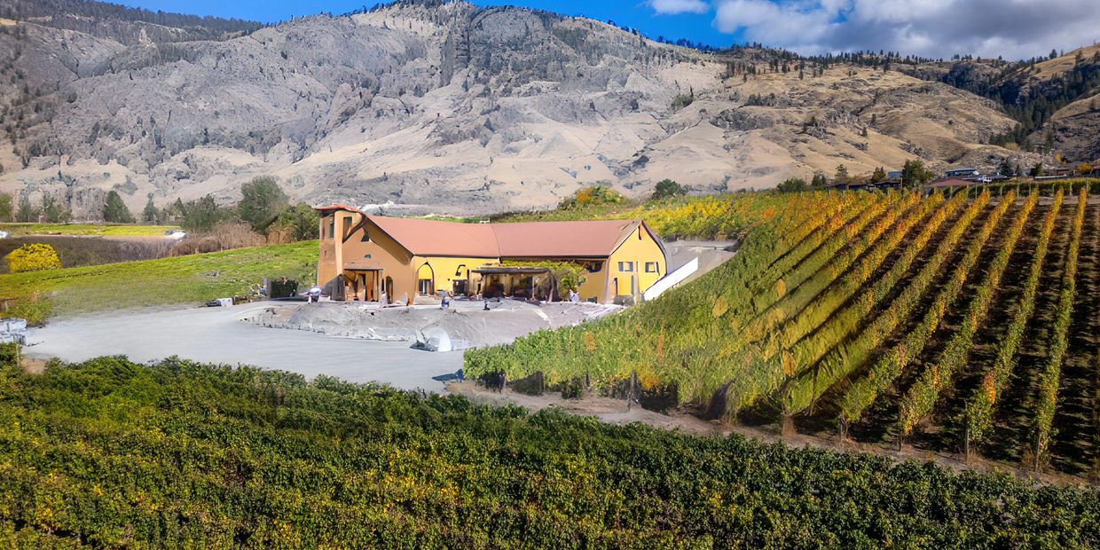 Adega Wine Club 