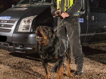 K9 Security dog barking
K9 security van
K9 security dog handler