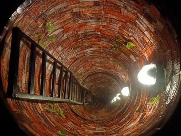 Ladder inside a brick-lined well with lights and vines.