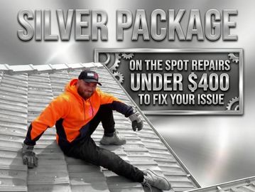 16-Point Perimeter Inspection: A professional external-only sweep of your roof's armor.