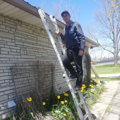 A man in work clothes climbs a ladder beside a flower bed.
