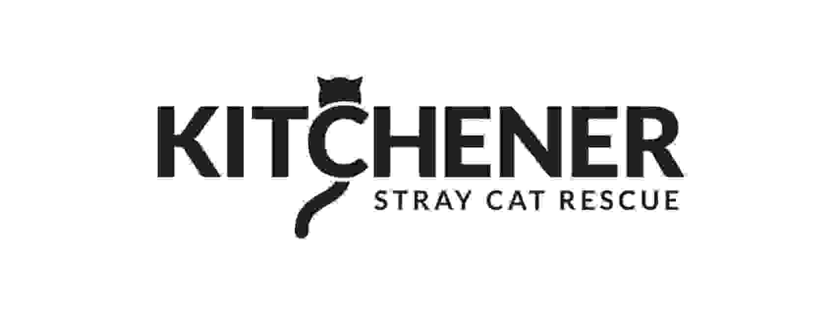 Kitchener Stray Cat Rescue Cat Rescue, Charity, Cats for Adoption