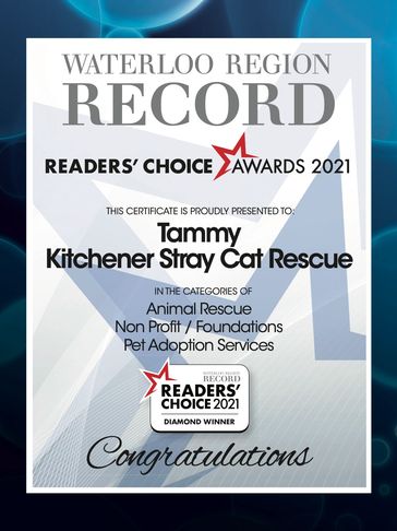 reader choice award for cat rescue in Kitchener waterloo