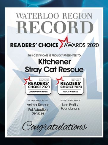 reader choice award for cat rescue in Kitchener waterloo